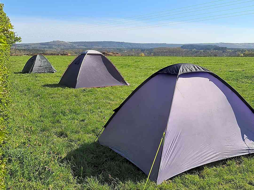 Best Campsites In Wareham Dorset 2021 200 Wareham Dorset Camping Sites On Pitchup