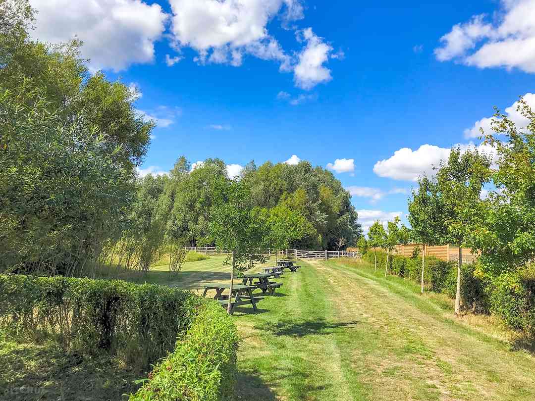 Morelands Copse Camping (foto aggiunta dal gestore il giorno 14/10/2022)