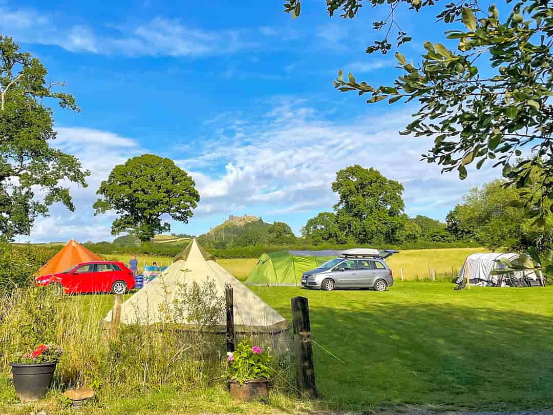 Trapp Fishery Caravan and Camping: Visitor image of pitches with views (photo added by manager on 13/09/2022)