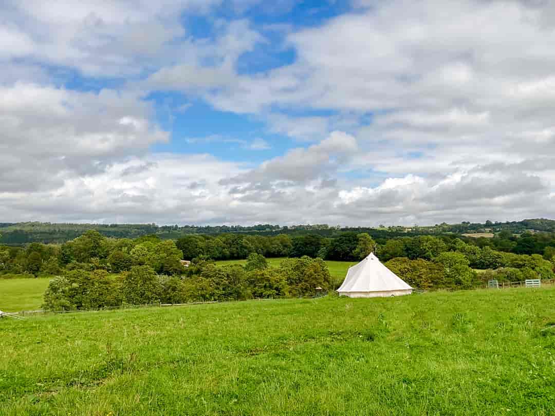 Sunnyhill Park and Campsite: Fields of dreams
