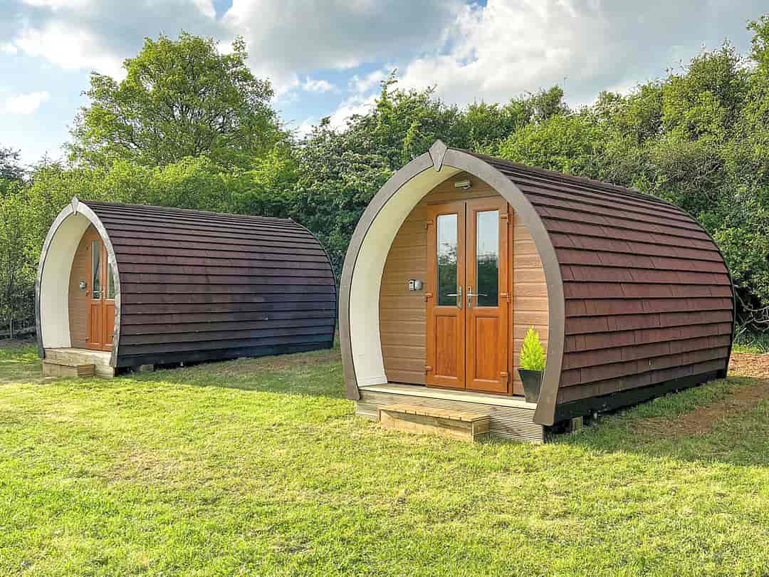 Carney Pools Camping and Caravanning: Camping pods