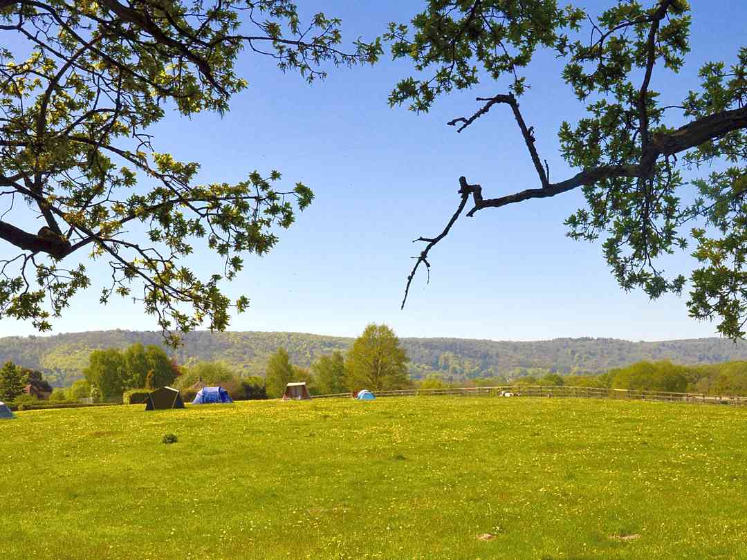 The paddock from the grass car-parking area (photo added by manager on 14/06/2018) Woodfire at Westerlands: The paddock from the grass car-parking area (photo added by manager on 14/06/2018)