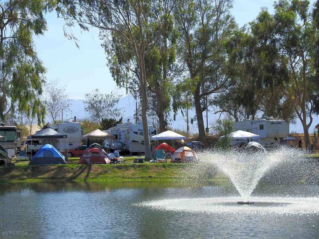 Shadow Hills Rv Resort Indio Pitchup
