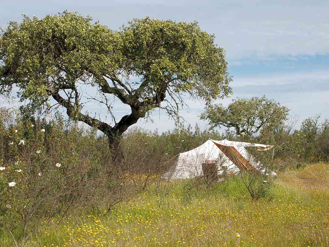 Wild Camping Best Campsites In Portugal 2021 Book 2 Campsites On Pitchup