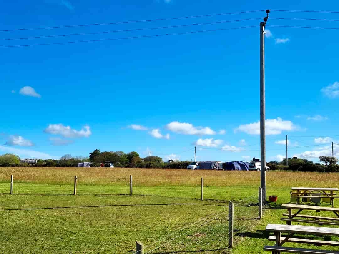 Roselidden House Camping: Grass pitches with plenty of space