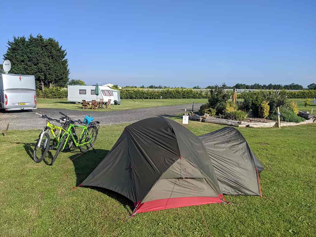 Apple Blossom Caravan and Camping Park: Pitch 23 facing the shop