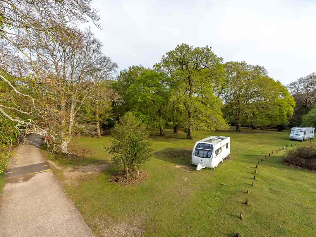 Longbeech Caravan and Camping Site: Pitch up in the forest (photo added by manager on 30/01/2023)