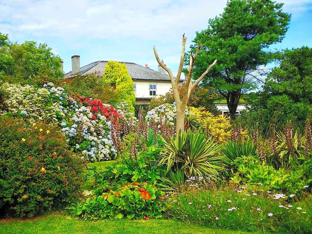 The Golden Lion Inn Lakeside Camping Redruth Updated 2020 Prices Pitchup