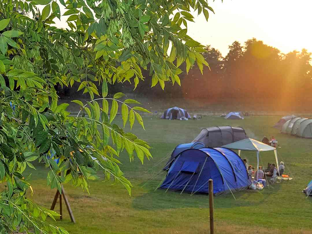 Whitlingham Broad Campsite