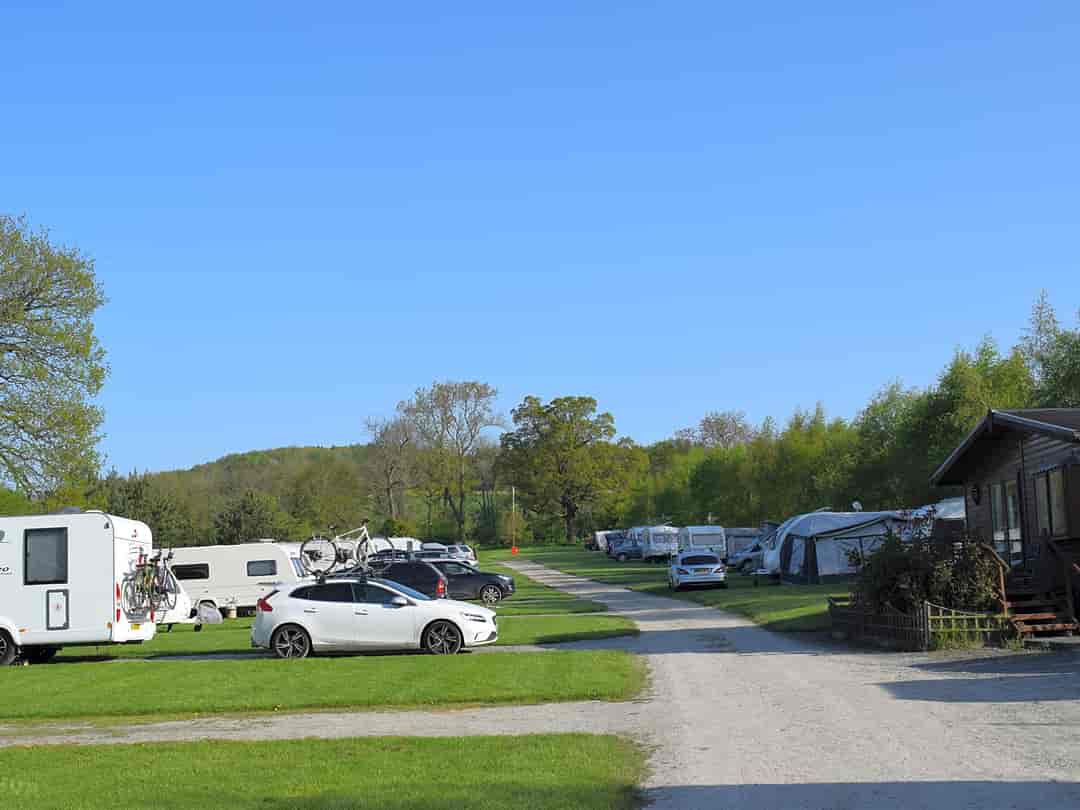 Wayside Camping: Plenty of space around the pitches