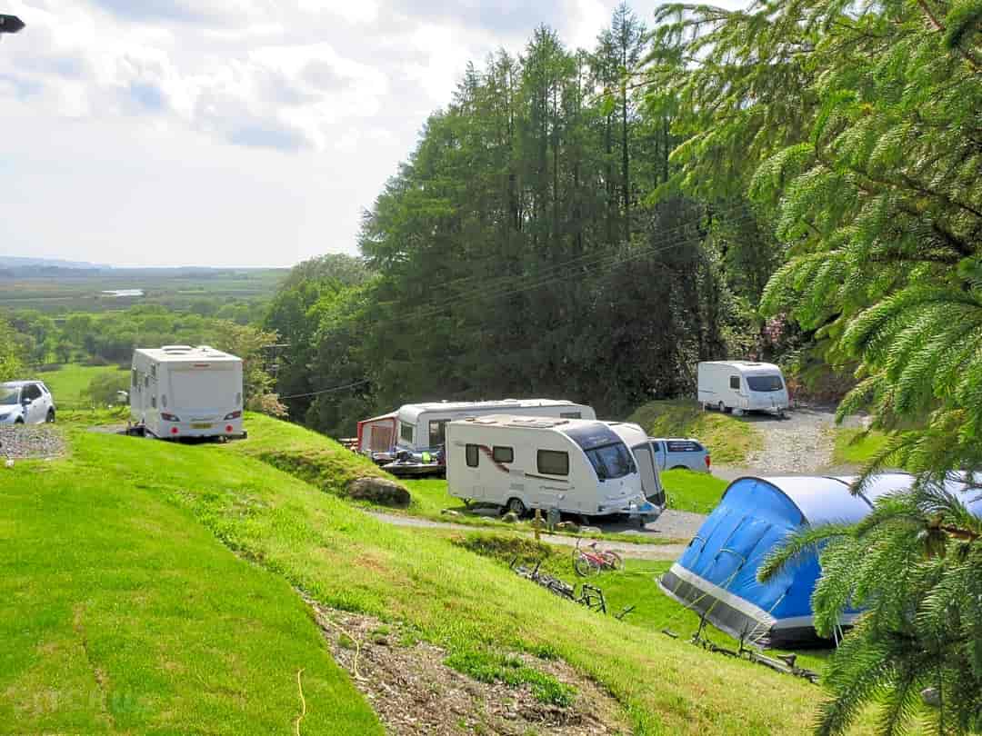 Gwerniago Campsite: Electric hardstanding pitches