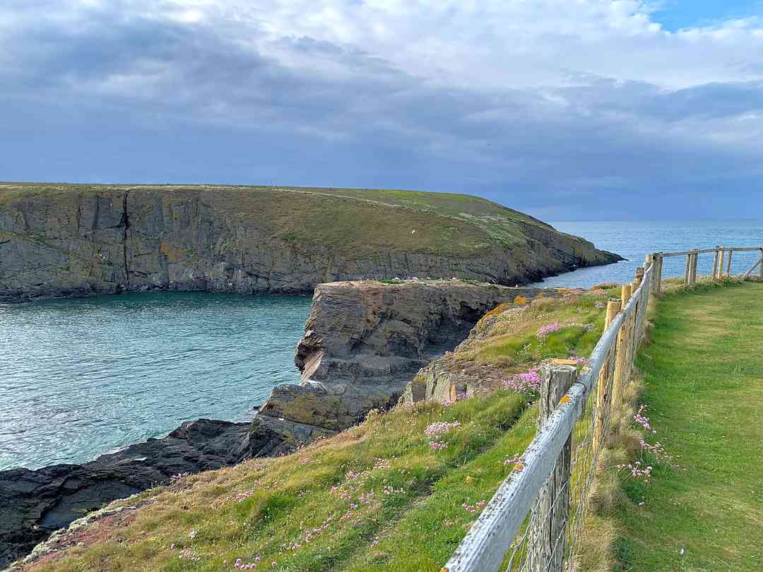 Cardigan Island Coastal Farm Park: Farm park