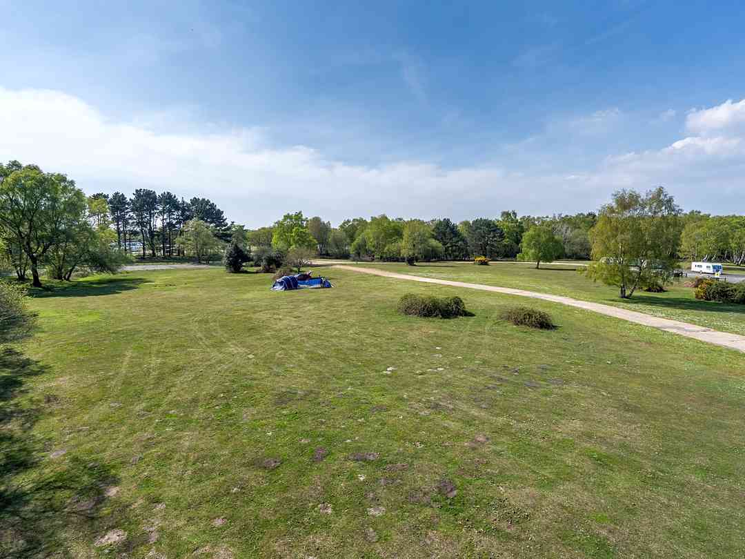 Holmsley Caravan and Camping Site: Forest view and grass pitches (photo added by manager on 31/01/2023)