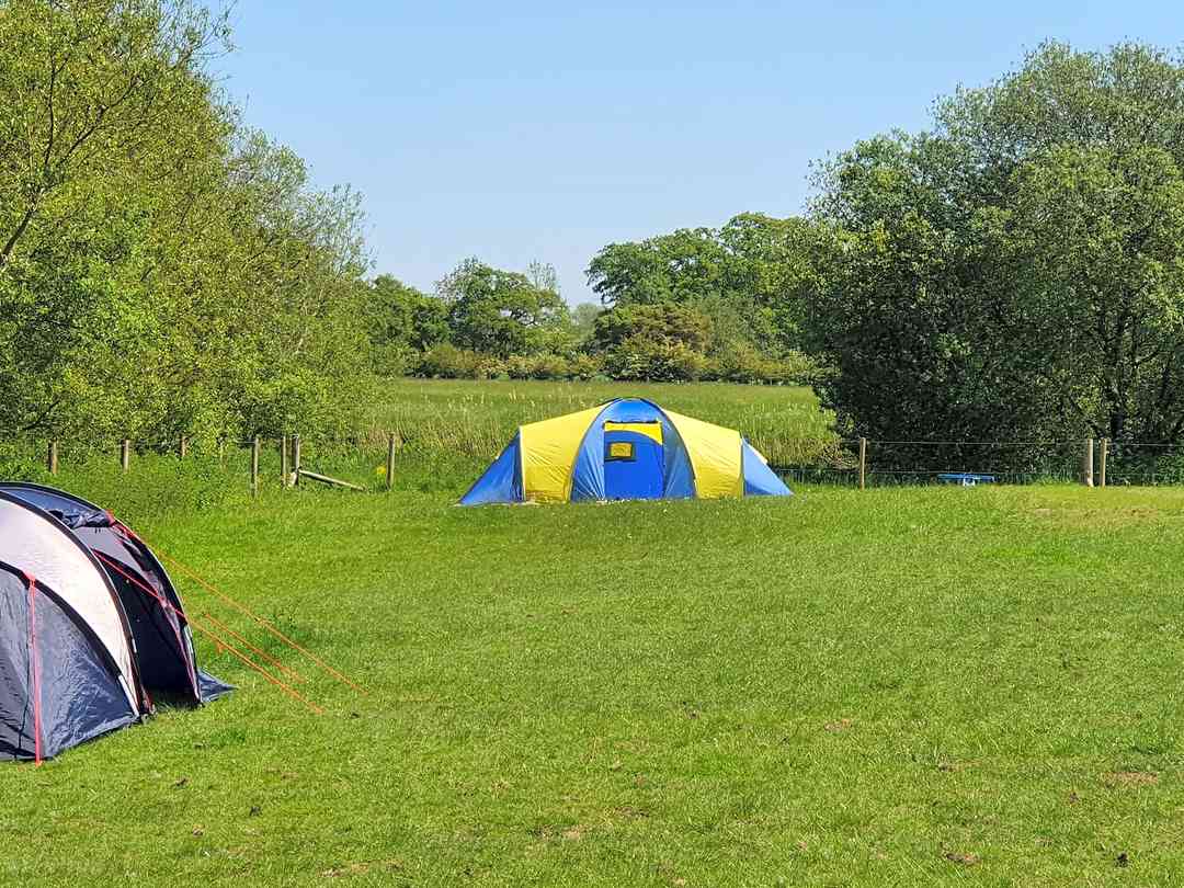 Parley Court Camping (fotot lades till av föreståndaren 2021-06-01)