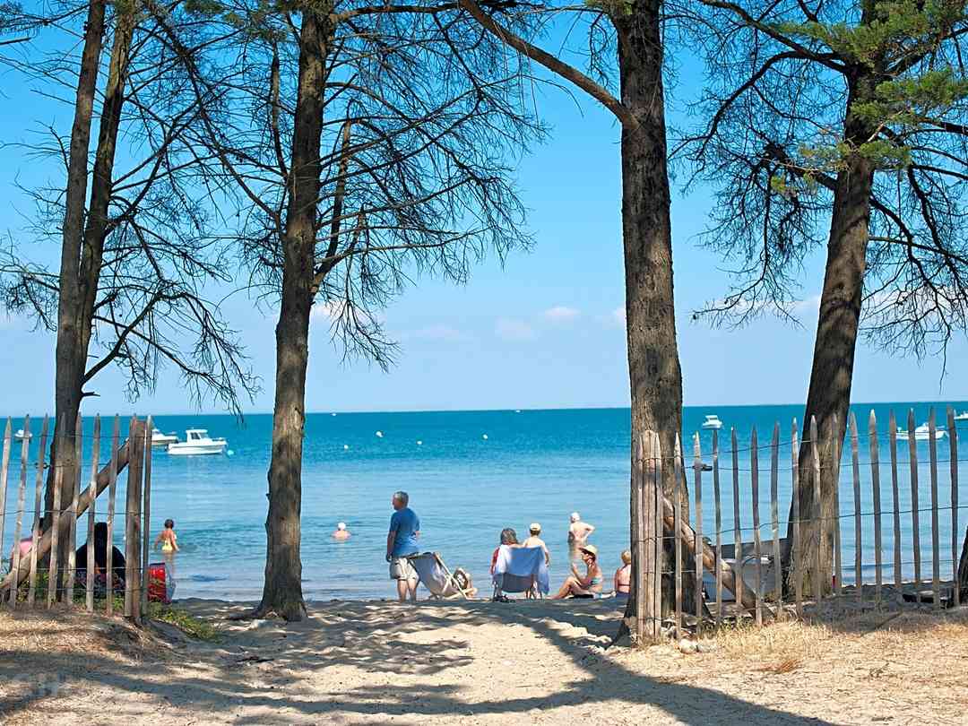 Camping Noirmoutier Noirmoutier En L Ile Pitchup