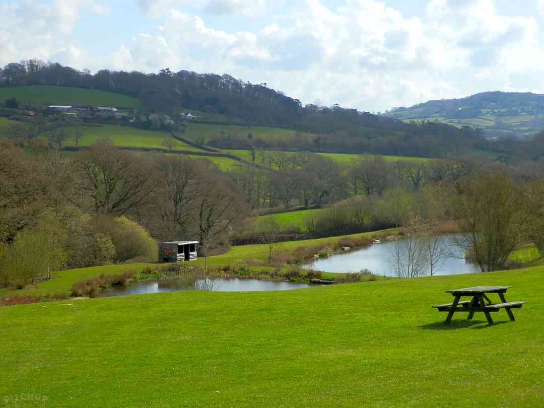 Wood Farm Holiday Park: Fishing lakes