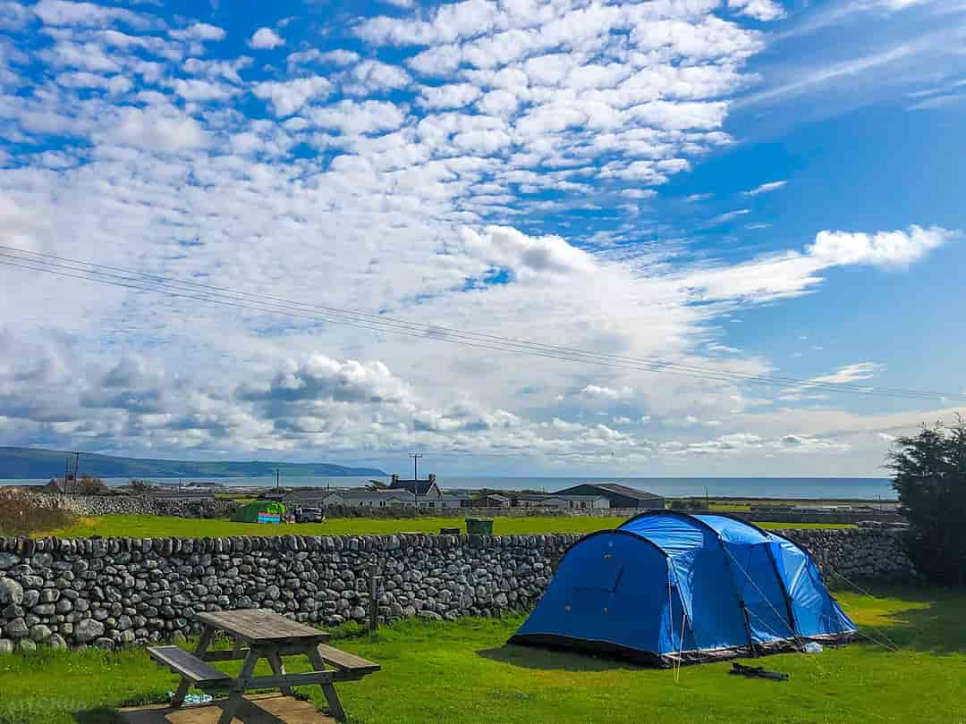 Tyddyn Goronwy Camping Park: Tent pitches