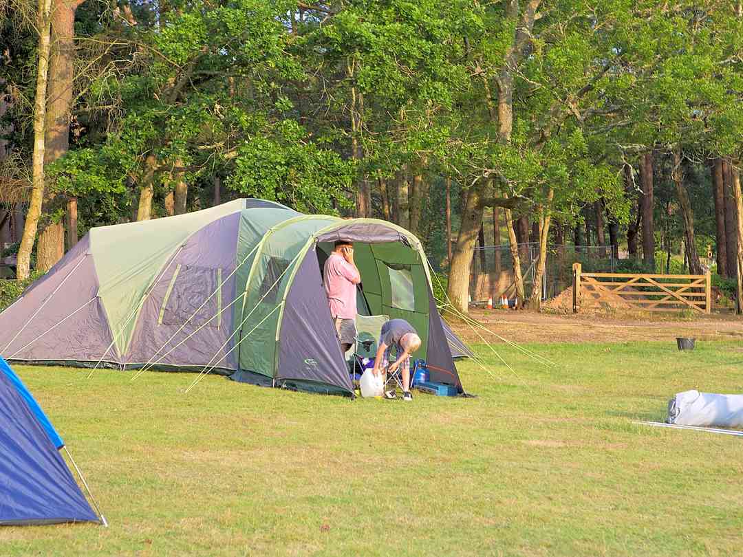Campsites in the new forest with electric hook up top