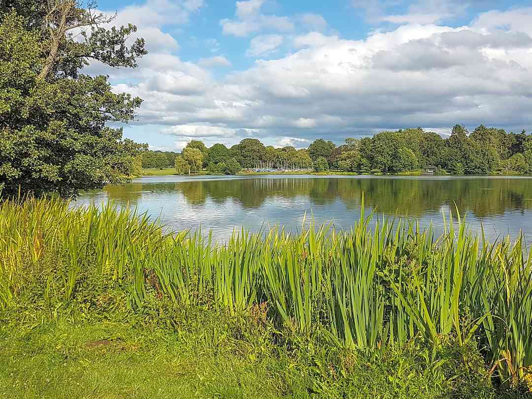 Best campsites in midlands top