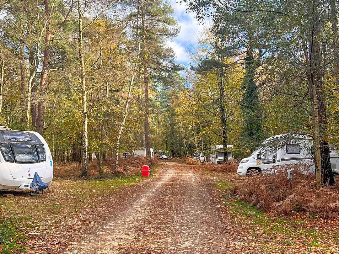 Campsites in the new forest with electric hook up top