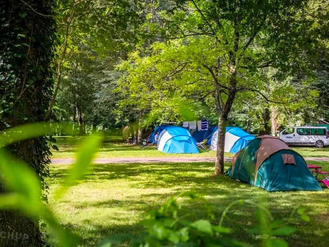Concerns over child safety in commercial holiday camps Concerns over child safety in commercial holiday camps