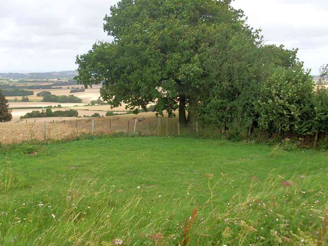 Hillcrest Farm Wild Camping Charing Pitchup