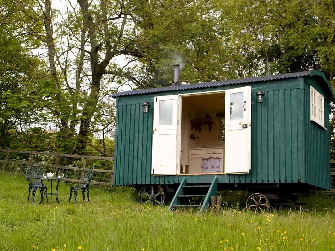 The Hut at Hafod Las: The shepherd's hut