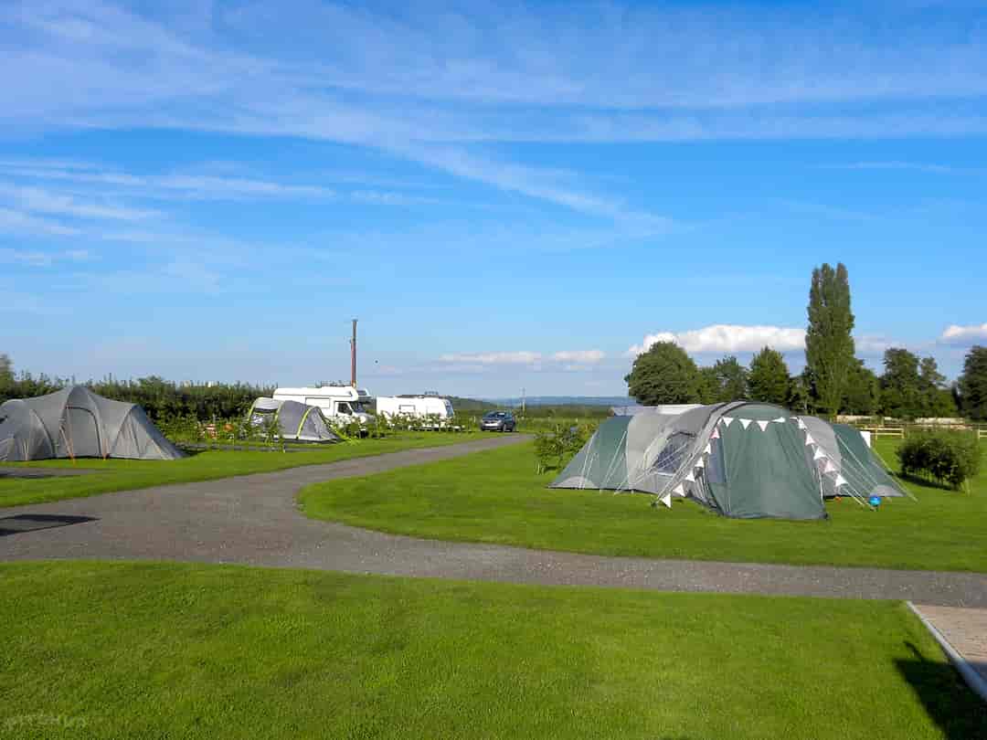 Severn Valley Touring Caravan and Camping Site: Grass touring pitches