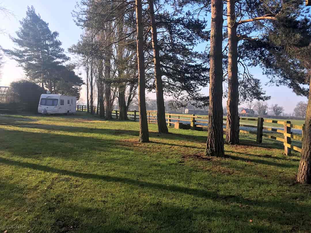 Broomhill Farm: Grass pitches sheltered by trees