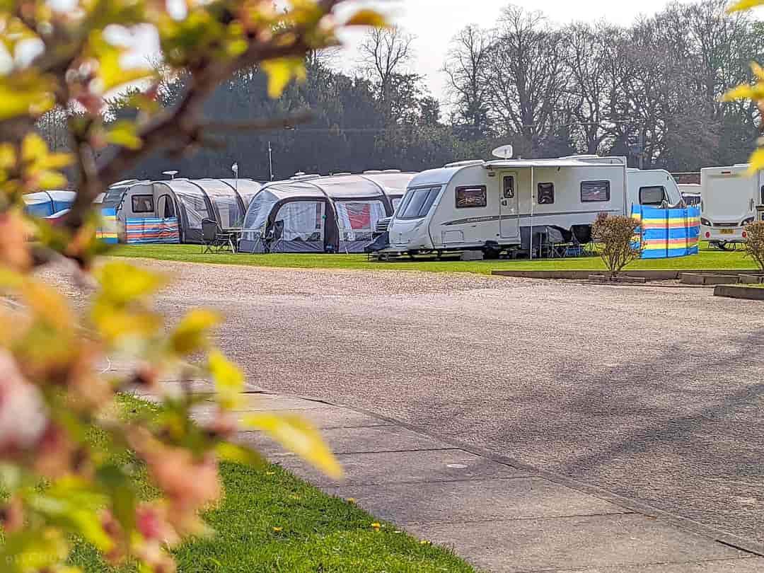 Thorpe Hall Caravan and Camping Site: Grass pitches on site