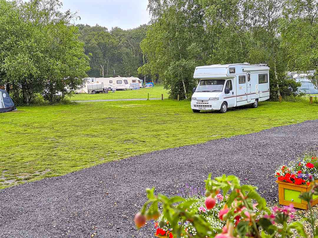 Luckford Wood Caravan and Camping: Grass pitch at Luckford Wood (photo added by manager on 27/07/2022)
