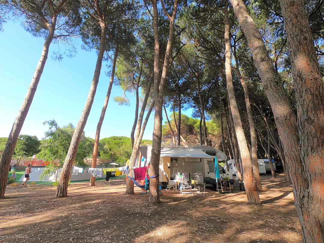 Is Arenas Camping Village: Pitch