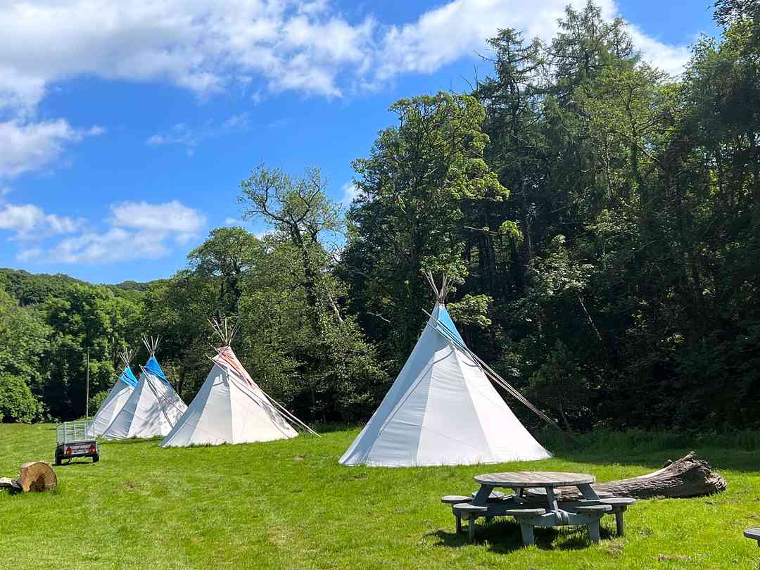 Wildswim2sauna: Tipi for hire
