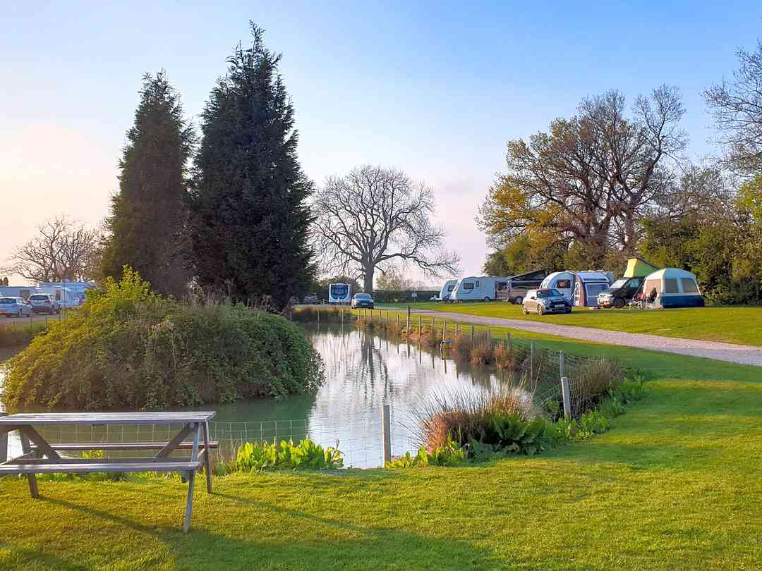 New Forest View: Lovely evening by the pond (photo added by manager on 08/12/2022)
