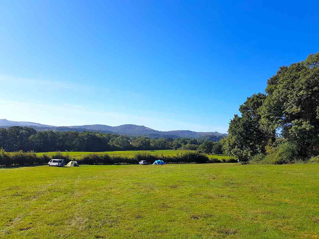 Clarefield Copse Wild Camping Petersfield Updated 2021 Prices Pitchup
