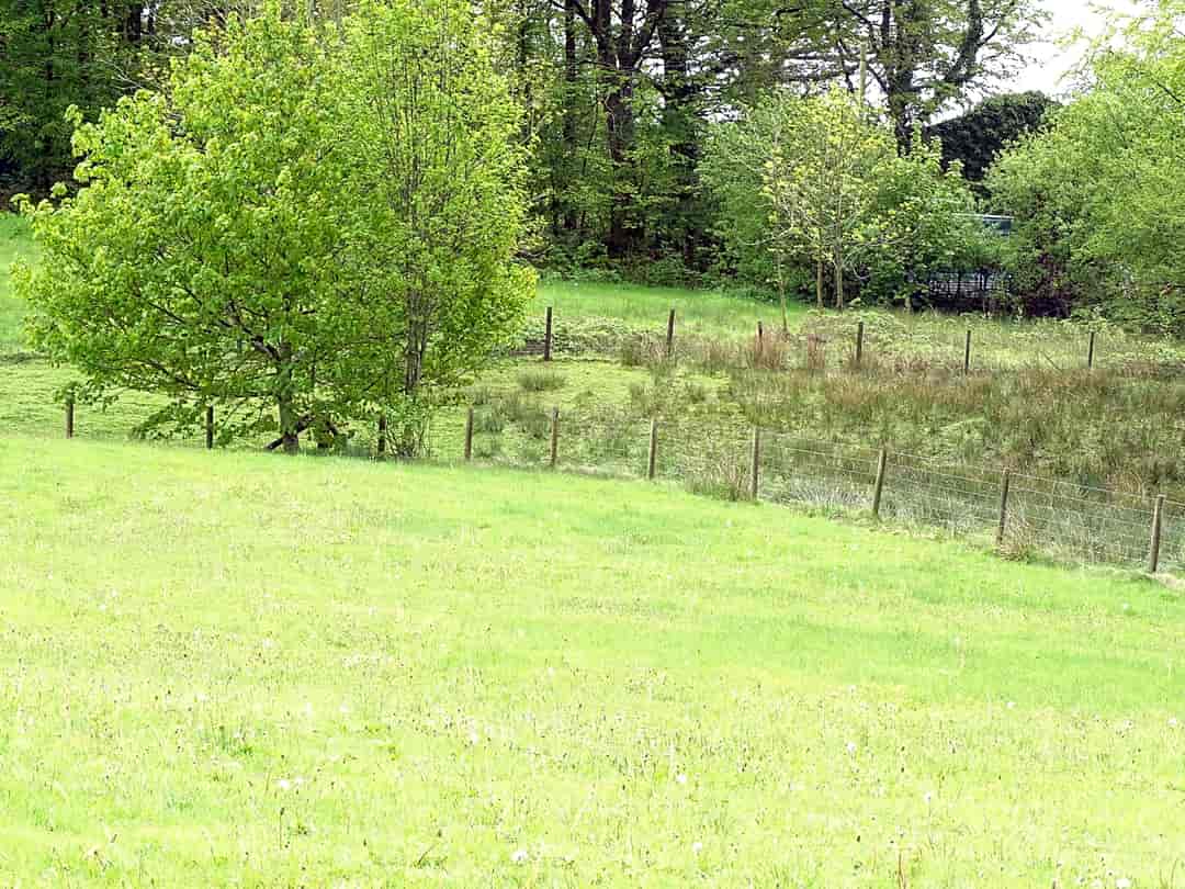 Aeron View Camping: Grass pitch