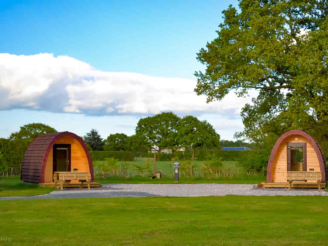 Wagtail Park: Camping pods under the trees
