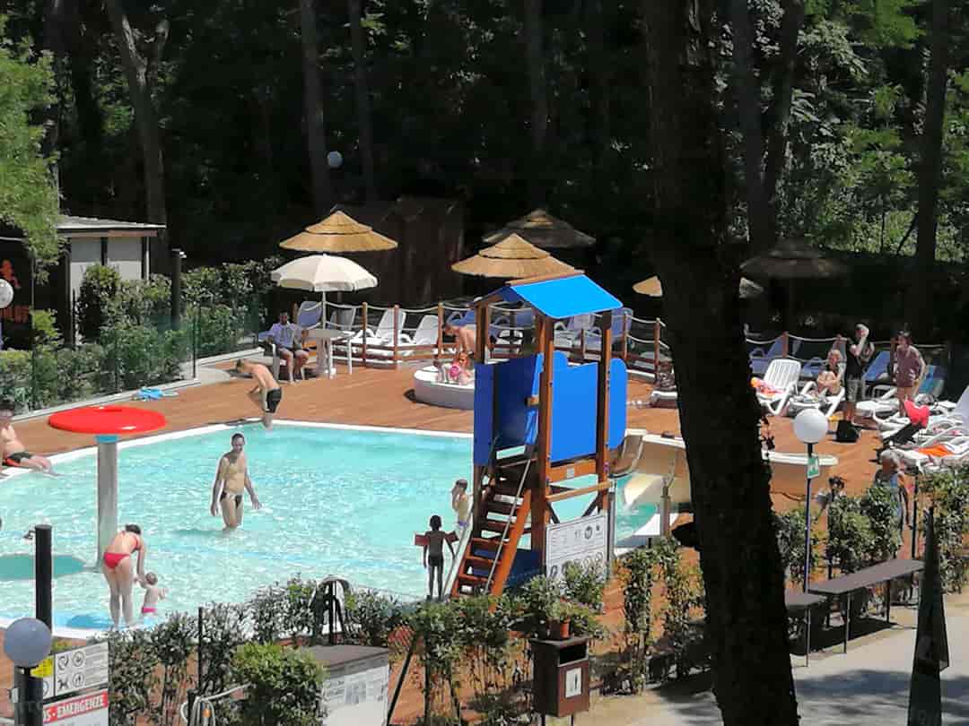 Piomboni Camping Village: Swimming pool