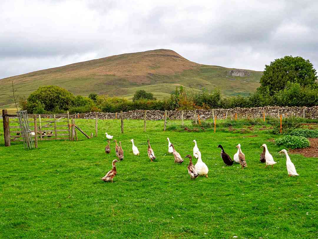 The Old Chapel (foto añadida por el administrador el 30/03/2023)