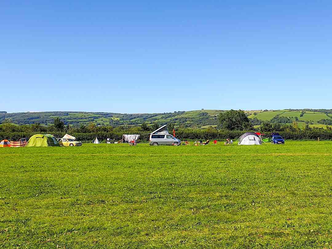 Wookey Farm: Meadow pitches