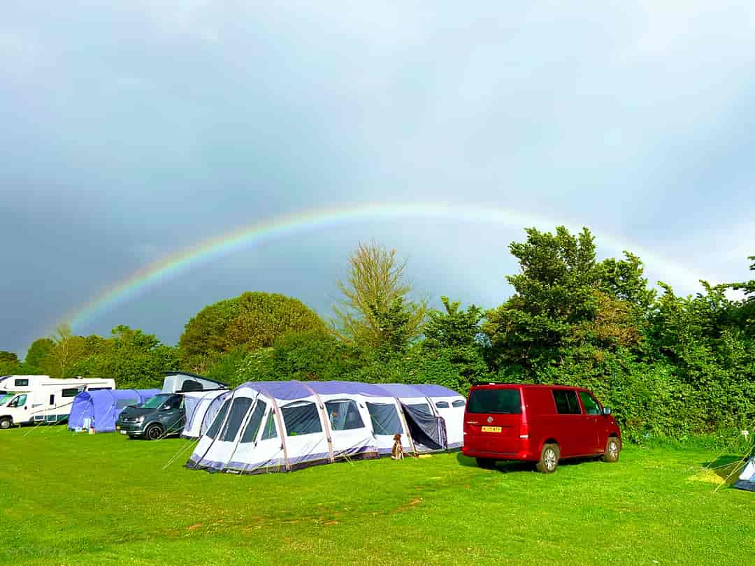 Wall Park Touring Caravan and Centry Road Camping Site: Grass pitches