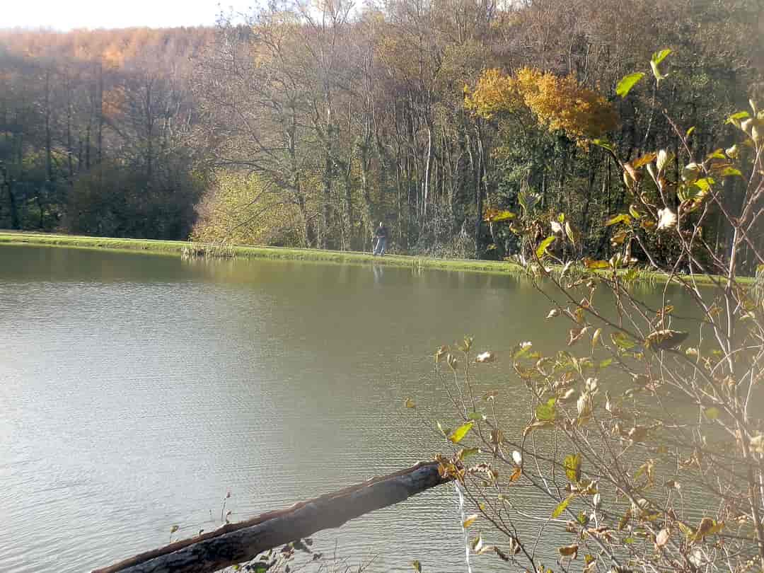 Broadstone Park: Spring-fed trout pond