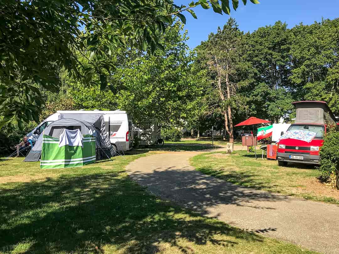 Camping d'Auxerre: Pitches on site