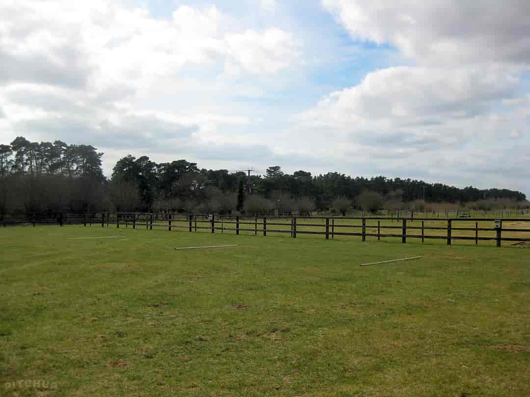 Kings Forest Caravan Park: Grass pitch overlooking the horses