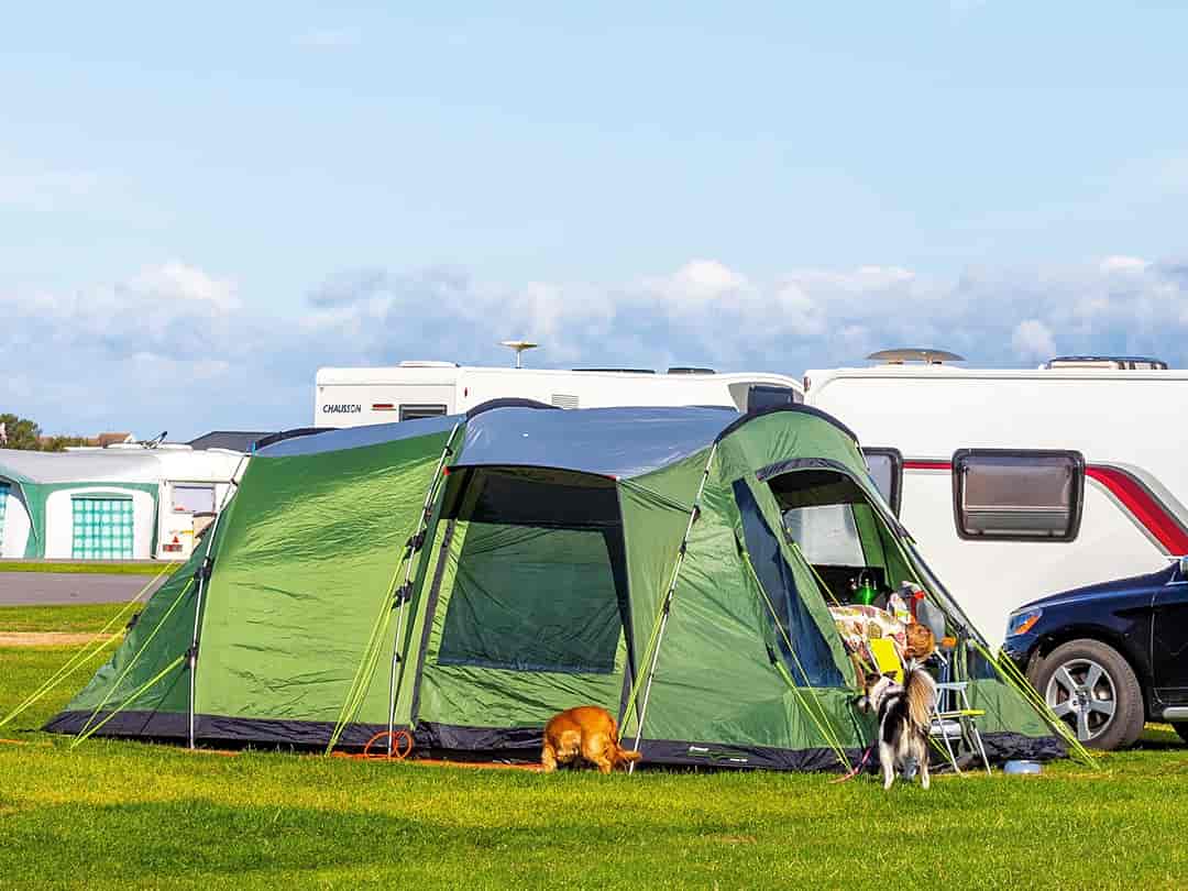 Diamond Farm Holiday Park: Tents are very welcome
