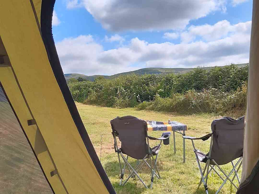 Cosmos Camping: Room with a view