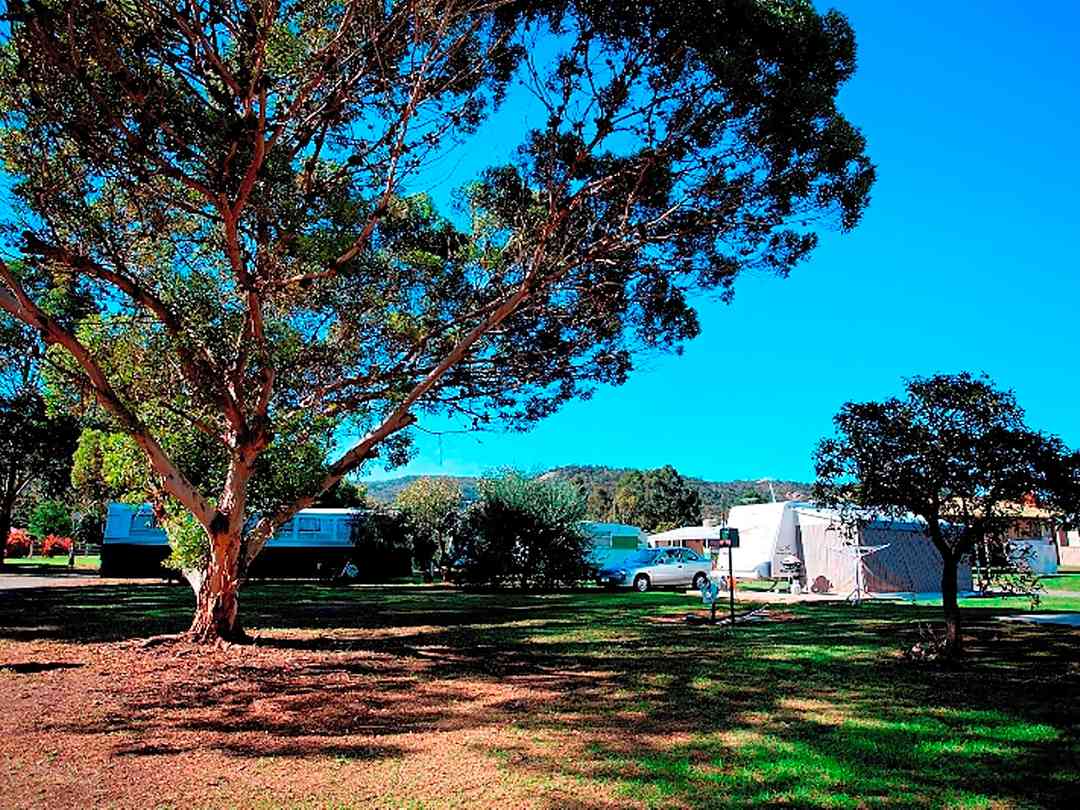Serpentine Falls Tourist Village Serpentine Pitchup