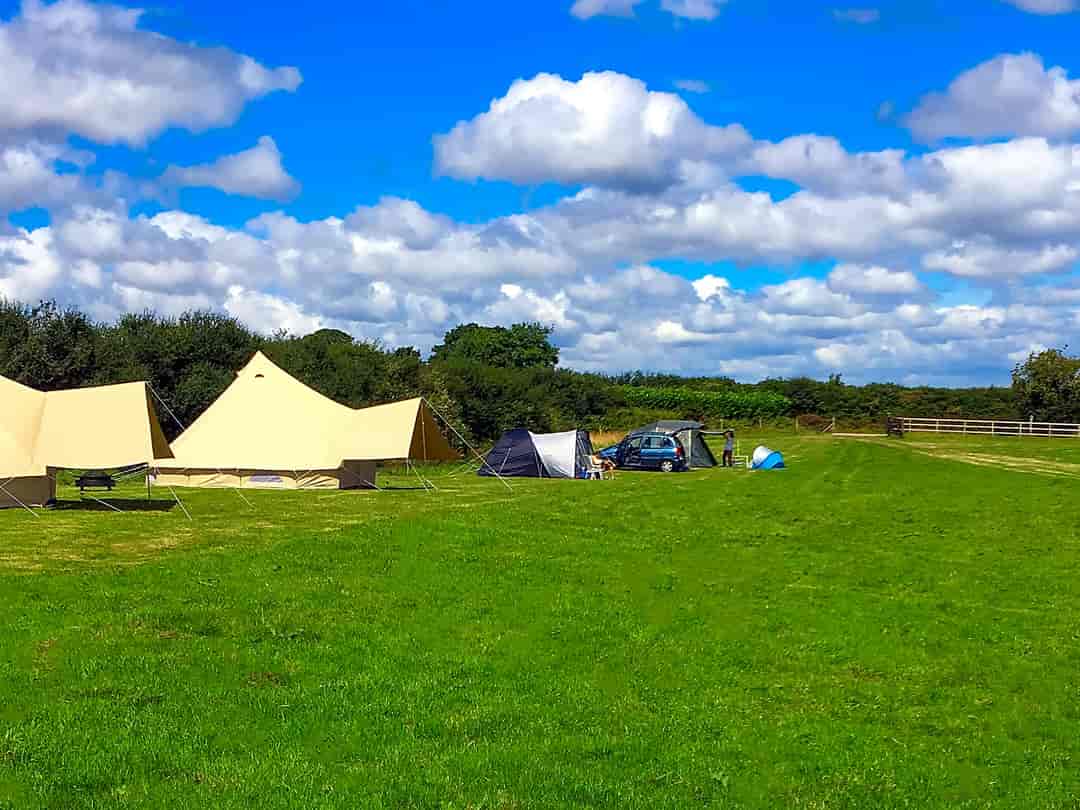 Menallack Farm Caravan and Camping Site: Little Meadow pitching area
