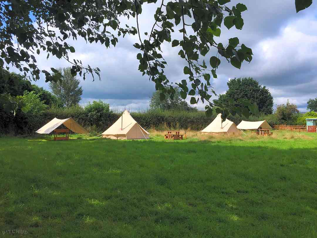 Hayfield Glamping and Camping