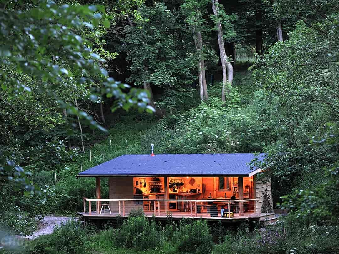 Redwood Valley - Woodland Cabin and Yurts: Well-equipped woodland kitchen